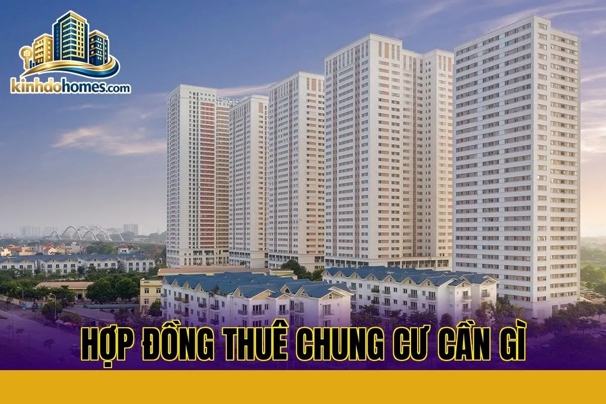 Hợp đồng thuê chung cư cần gì