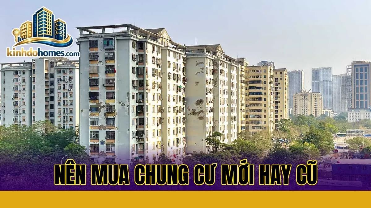 Nên mua chung cư mới hay cũ