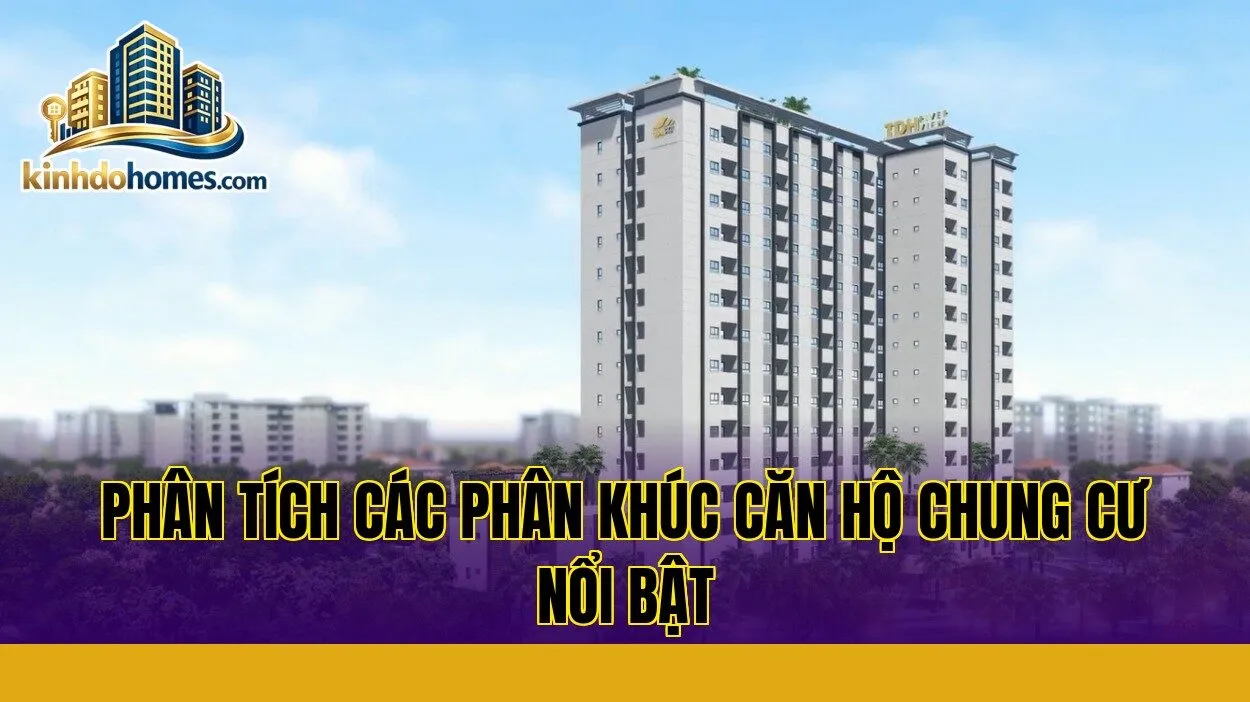phân tích các phân khúc căn hộ chung cư nổi bật