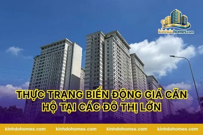 Thực trạng biến động giá căn hộ tại các đô thị lớn